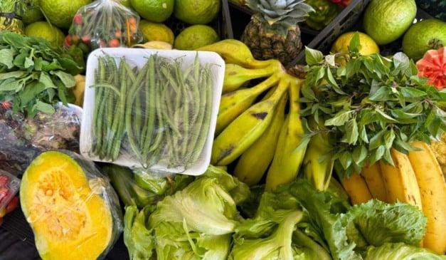 Com homologação do resultado final, produtores iniciam fornecimento de alimentos a partir de novembro de 2025, seguindo cronograma do PAA Goiás.