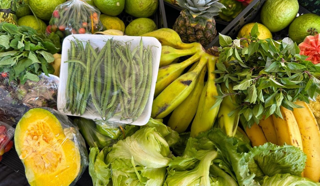 Governo de Goiás apoia 2 mil agricultores familiares