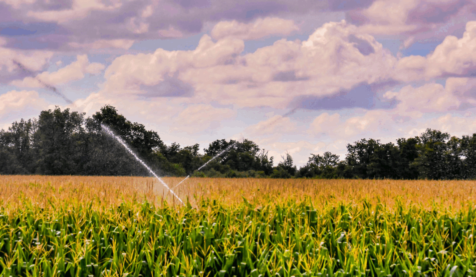 Apesar do avanço tecnológico da irrigação, o estudo mostra que falta de infraestrutura limita a agricultura de precisão no país