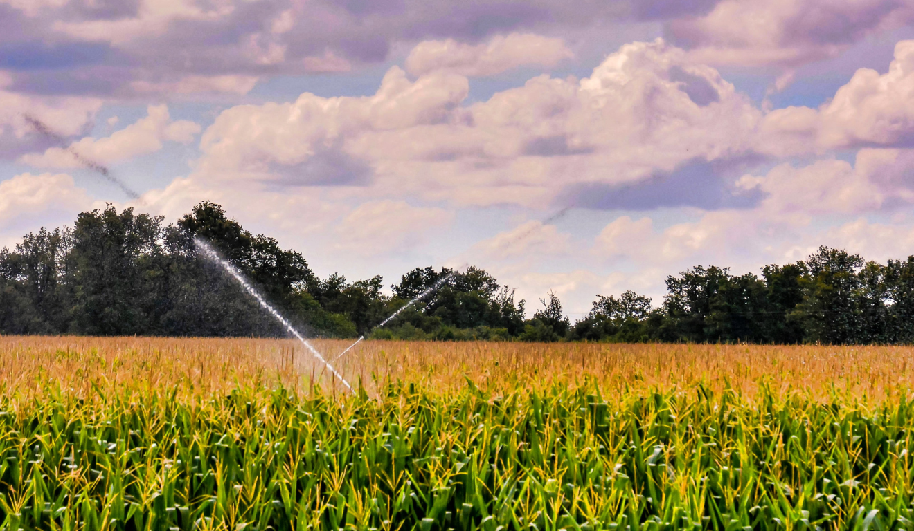 Apesar do avanço tecnológico da irrigação, o estudo mostra que falta de infraestrutura limita a agricultura de precisão no país