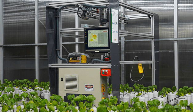 A Embrapa Instrumentação (SP), em parceria com a Cooperativa Mista de Desenvolvimento do Agronegócio (Comdeagro), de Mato Grosso, desenvolveu um sistema robótico autônomo inovador chamado LumiBot