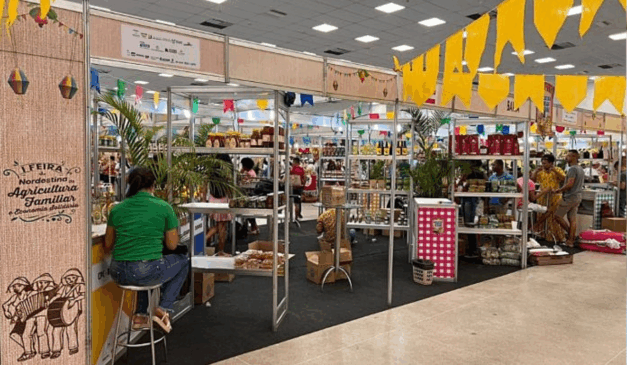 O Governo do Maranhão lança, nesta sexta-feira (24), a 4ª Feira Nordestina da Agricultura Familiar e Economia Solidária (Fenafes) e a 3ª Feira Maranhense da Agricultura Familiar (Femaf)