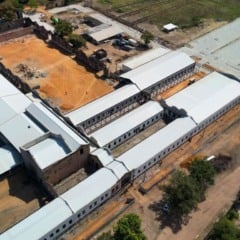 Com apoio do governo alagoano, nova sede da Embrapa Alimentos deve ser inaugurada em dezembro de 2025.