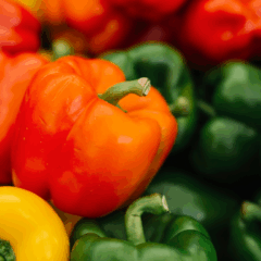 O pimentão (Capsicum annuum) é uma hortaliça amplamente cultivada no Brasil, tanto em sistemas convencionais quanto em cultivo protegido