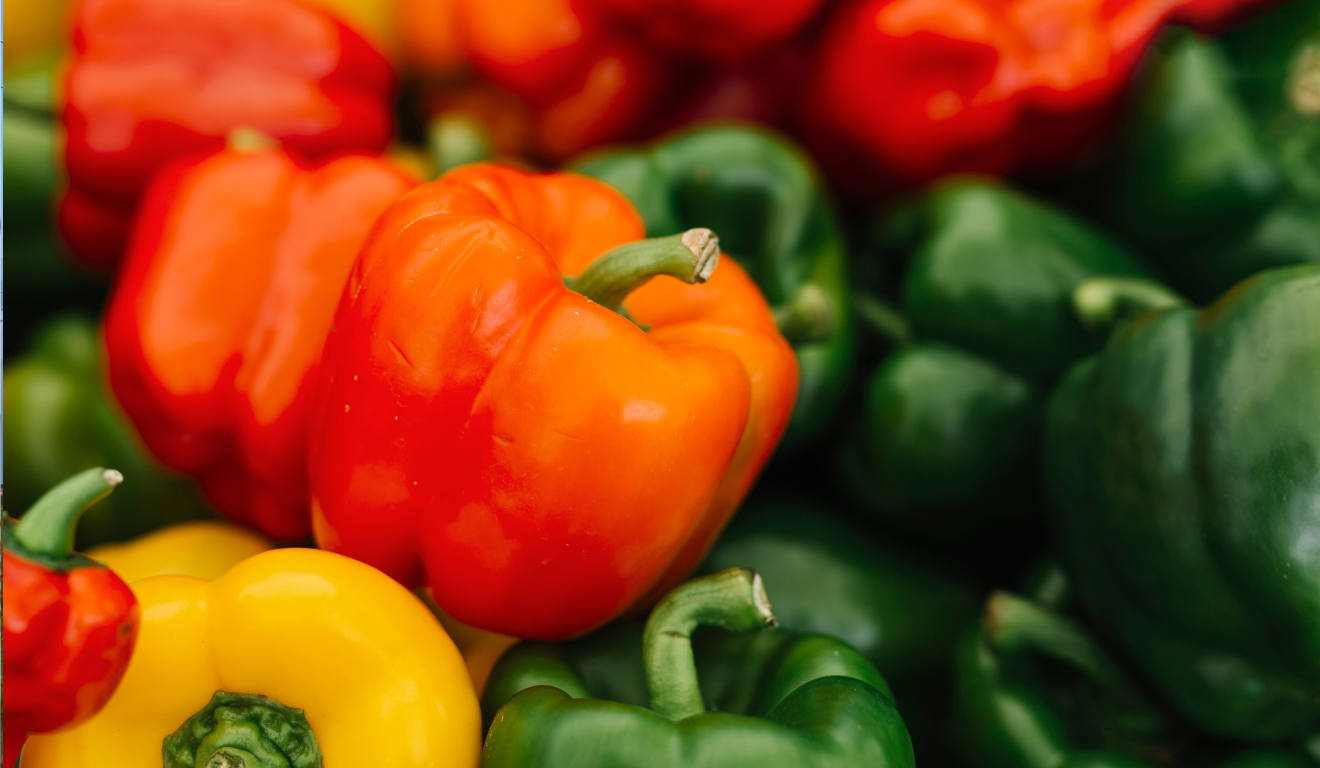 O pimentão (Capsicum annuum) é uma hortaliça amplamente cultivada no Brasil, tanto em sistemas convencionais quanto em cultivo protegido