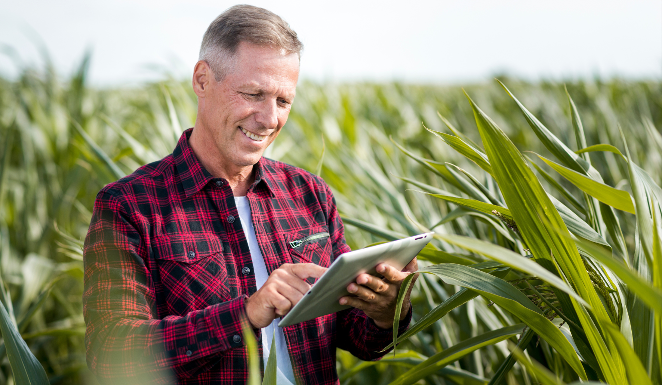 Planejamento agrícola anual: como fazer o passo a passo para uma safra de sucesso