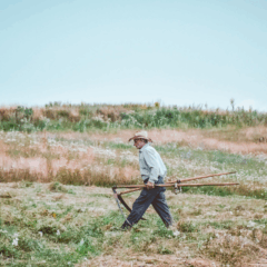 A produção agroecológica vem ganhando cada vez mais espaço entre agricultores que buscam unir produtividade, preservação ambiental e viabilidade econômica