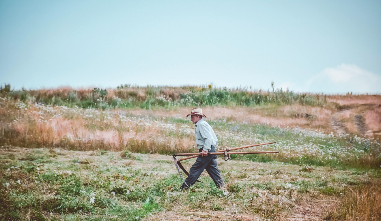 A produção agroecológica vem ganhando cada vez mais espaço entre agricultores que buscam unir produtividade, preservação ambiental e viabilidade econômica