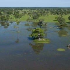 Produtores do Pantanal são beneficiados pelo PSA Conservação