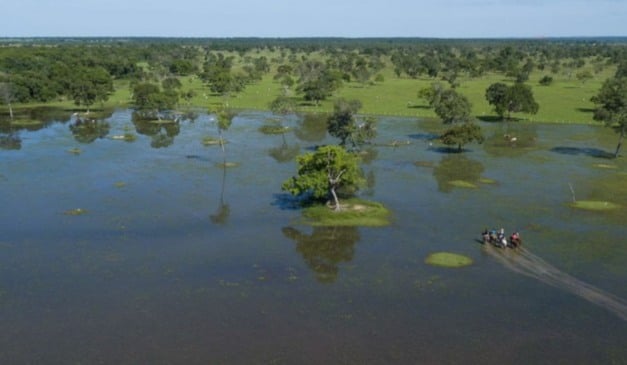 Produtores do Pantanal são beneficiados pelo PSA Conservação