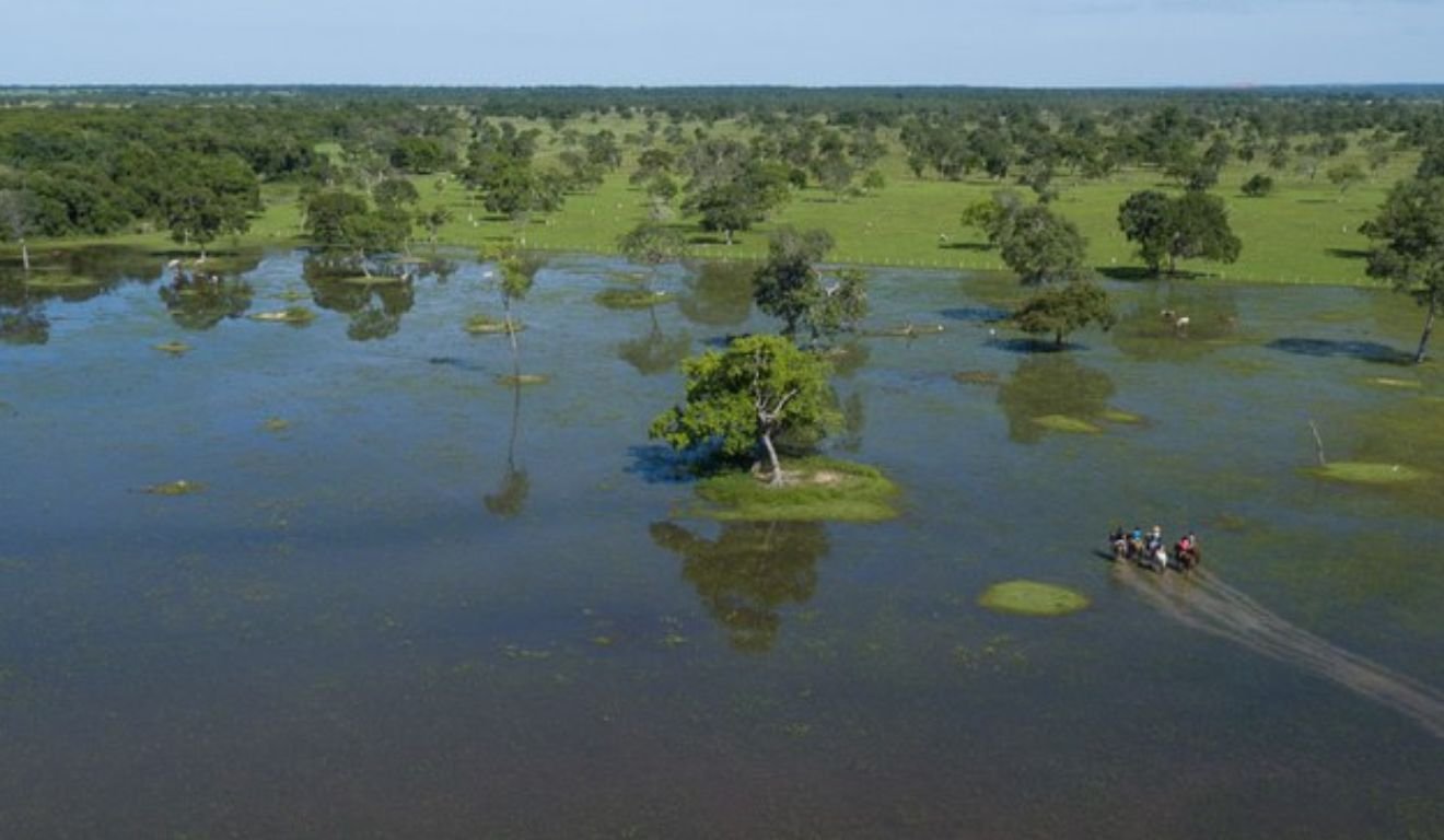 Produtores do Pantanal são beneficiados pelo PSA Conservação