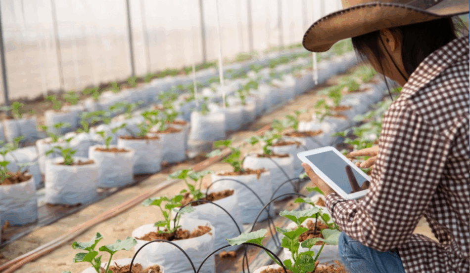O Radar Agtech Brasil, que mapeia o ecossistema de inovação do agro nacional, abriu cadastramento para startups, ambientes de inovação e investidores interessados na sexta edição do projeto