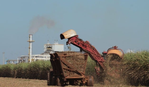 Atualização da ferramenta, criada pela Embrapa, RenovaCalc fortalece o setor de biocombústiveis.