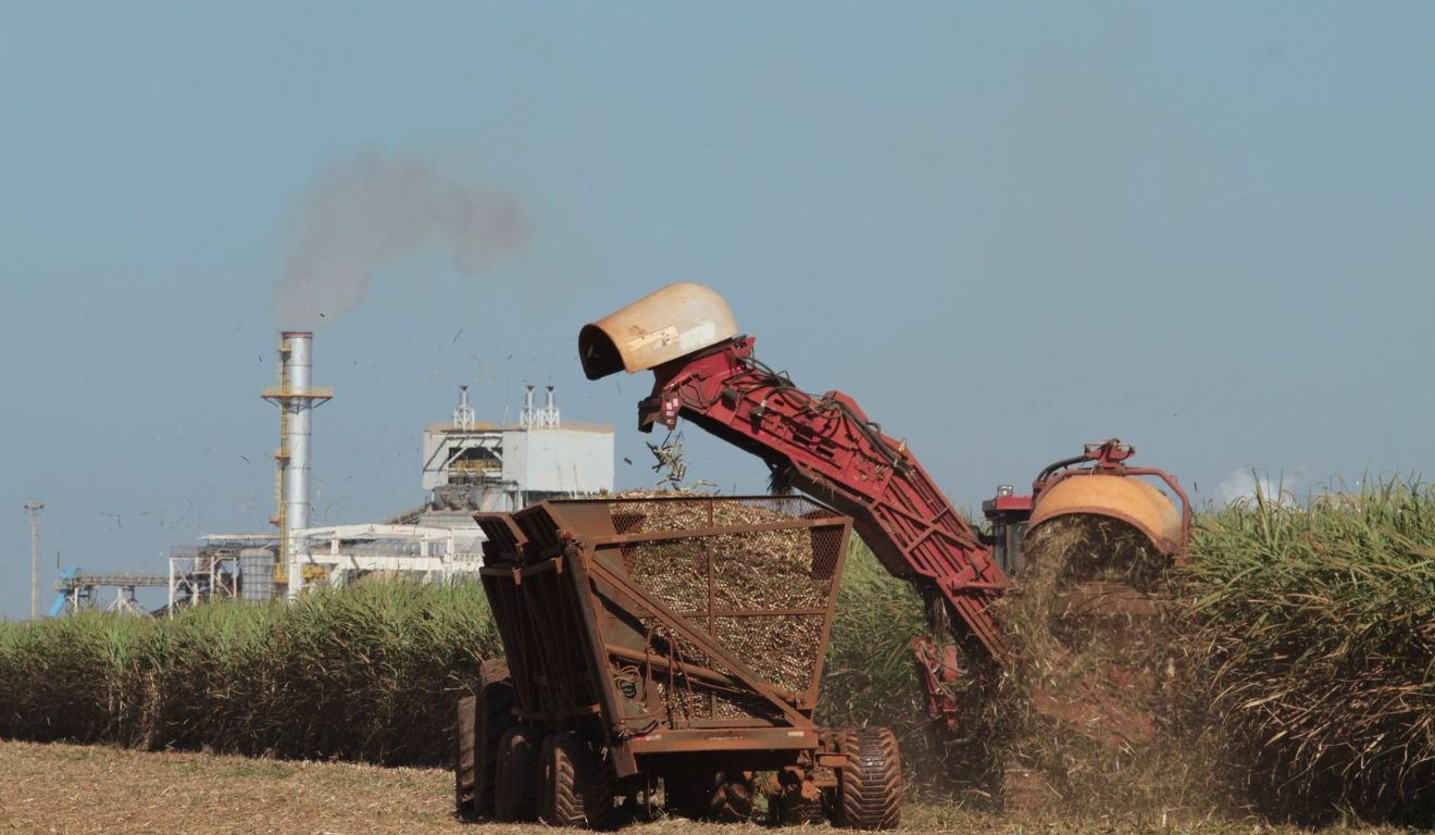 Atualização da ferramenta, criada pela Embrapa, RenovaCalc fortalece o setor de biocombústiveis.