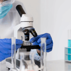 O Instituto de Zootecnia (IZ-Apta), da Secretaria de Agricultura e Abastecimento do Estado de São Paulo, criou um laboratório para à produção de embriões in vitro