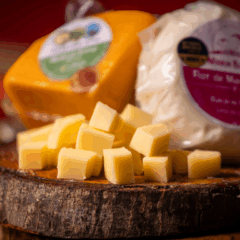 Acontece no Mercado do Rio Vermelho, em Salvador, o 1º Concurso de Queijos do estado.