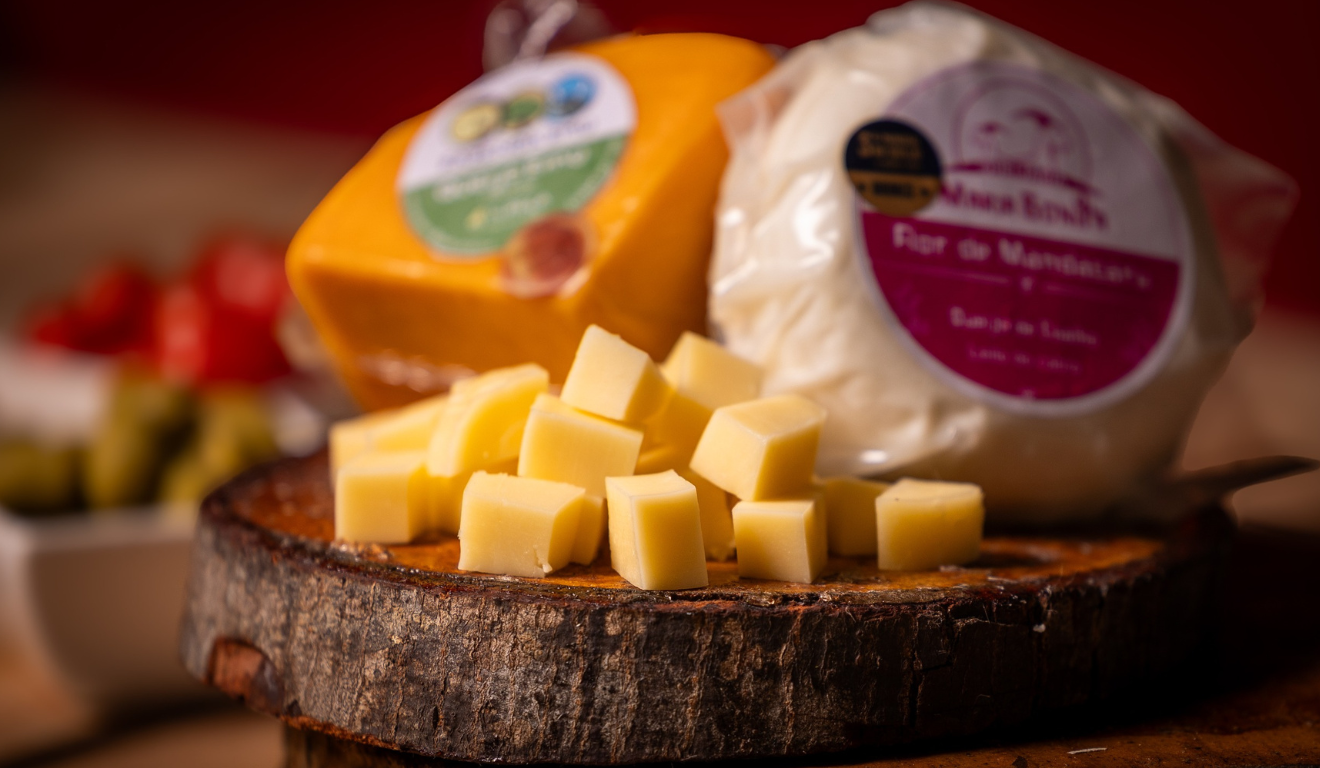 Acontece no Mercado do Rio Vermelho, em Salvador, o 1º Concurso de Queijos do estado.