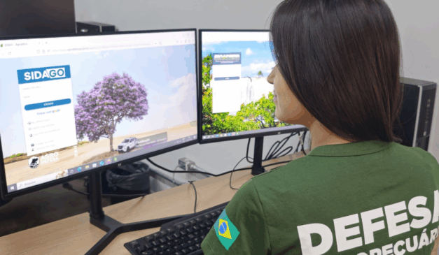 A Declaração de Rebanho de Goiás 2025 é um cadastro obrigatório a todos os produtores que possuam animais em suas propriedades, organizado pela Agrodefesa do estado. A Declaração de Rebanho de Goiás 2025 é um cadastro obrigatório a todos os produtores que possuam animais em suas propriedades, organizado pela Agrodefesa do estado.