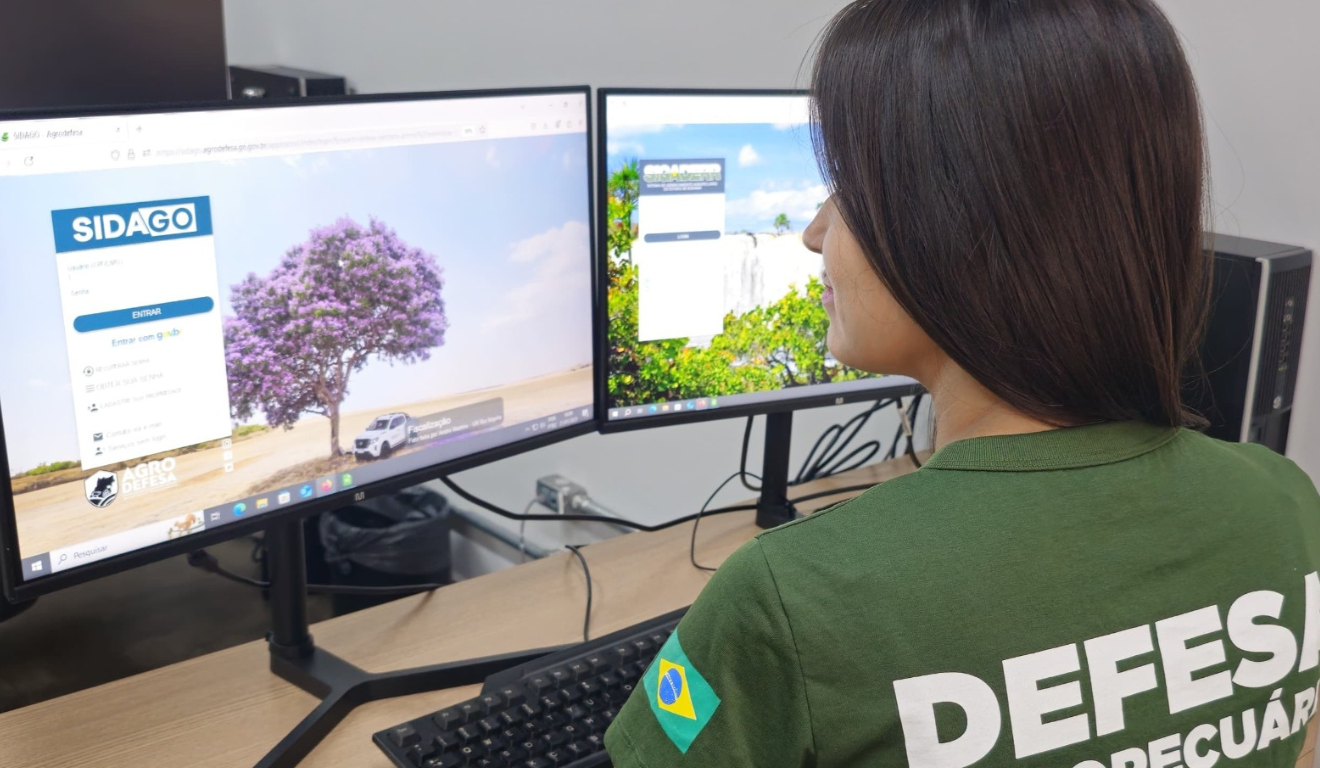 A Declaração de Rebanho de Goiás 2025 é um cadastro obrigatório a todos os produtores que possuam animais em suas propriedades, organizado pela Agrodefesa do estado.