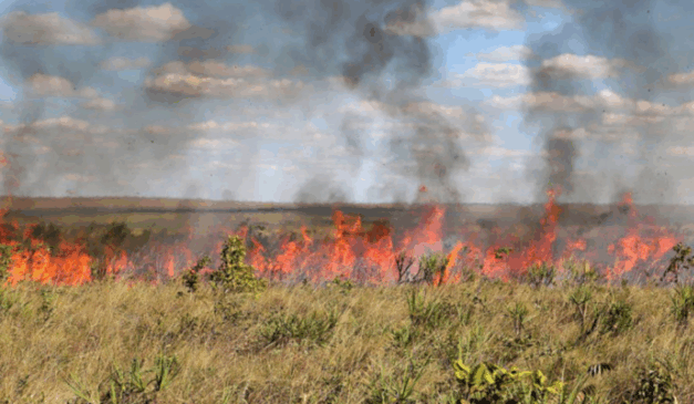 O Governo do Tocantins, por meio do Instituto Natureza do Tocantins (Naturatins), estendeu até o dia 9 de novembro a suspensão da emissão e da vigência das Autorizações Ambientais de Queima Controlada (AQC) em todo o estado O Governo do Tocantins, por meio do Instituto Natureza do Tocantins (Naturatins), estendeu até o dia 9 de novembro a suspensão da emissão e da vigência das Autorizações Ambientais de Queima Controlada (AQC) em todo o estado