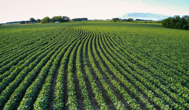 Técnicas de Inteligência Artificial (IA) e Visão Computacional, hoje utilizadas em projetos de monitoramento ambiental e energético, com foco em reservatórios hidrelétricos, rios e áreas florestais, também podem ser utilizadas no agronegócio