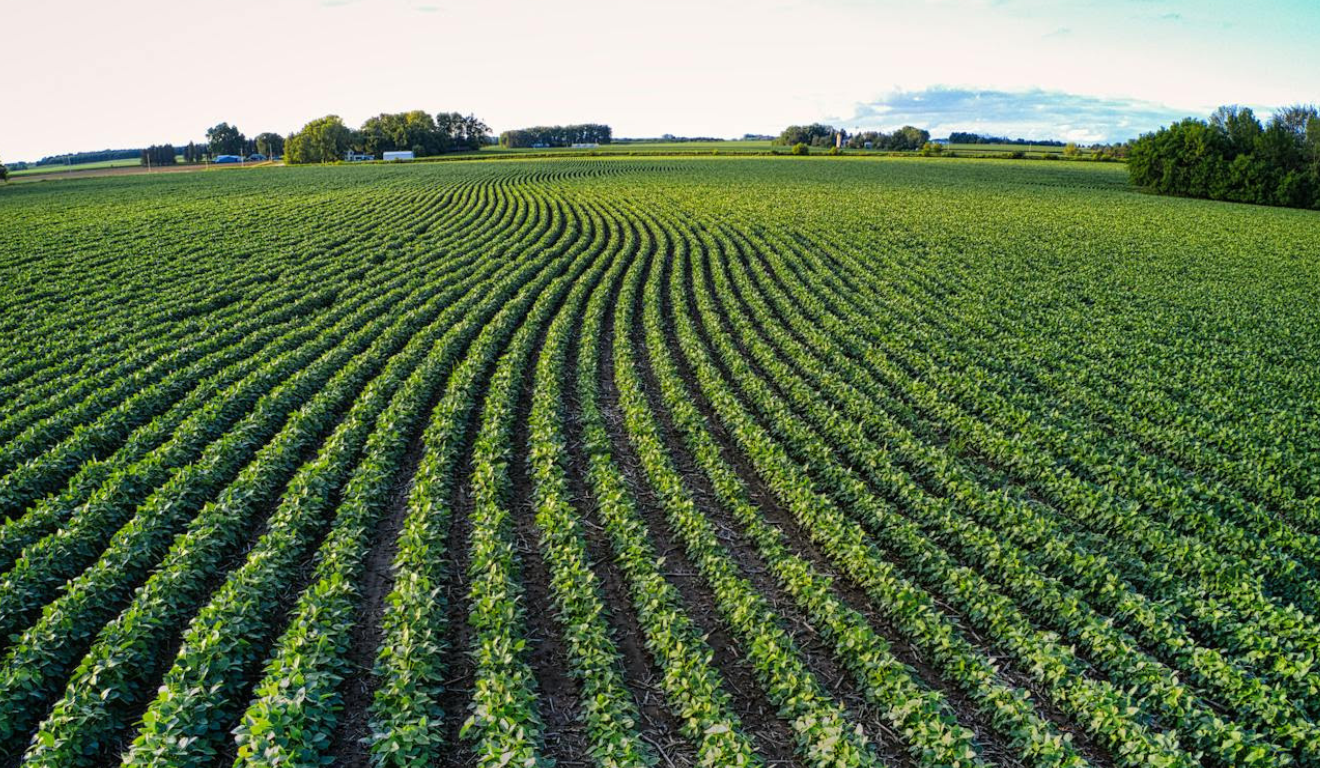 Técnicas de Inteligência Artificial (IA) e Visão Computacional, hoje utilizadas em projetos de monitoramento ambiental e energético, com foco em reservatórios hidrelétricos, rios e áreas florestais, também podem ser utilizadas no agronegócio Técnicas de Inteligência Artificial (IA) e Visão Computacional, hoje utilizadas em projetos de monitoramento ambiental e energético, com foco em reservatórios hidrelétricos, rios e áreas florestais, também podem ser utilizadas no agronegócio