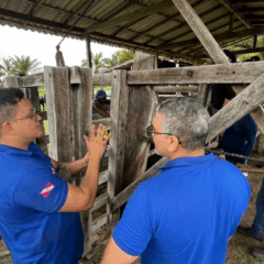 A Adepará participará da programação do Pavilhão Pará, na Zona Verde da Cupula das Nações Unidas para o Clima (COP30)