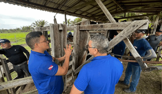 A Adepará participará da programação do Pavilhão Pará, na Zona Verde da Cupula das Nações Unidas para o Clima (COP30)