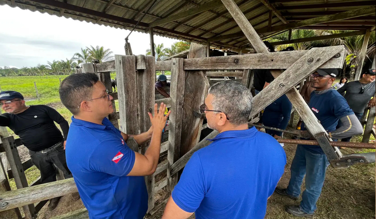 A Adepará participará da programação do Pavilhão Pará, na Zona Verde da Cupula das Nações Unidas para o Clima (COP30) A Adepará participará da programação do Pavilhão Pará, na Zona Verde da Cupula das Nações Unidas para o Clima (COP30)