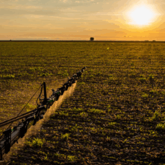 Foto: Wenderson Araujo/Trilux