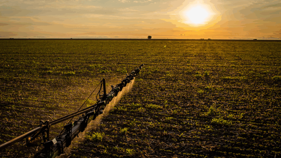 Foto: Wenderson Araujo/Trilux