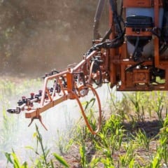 A Emater/Rio Grande do Sul -Ascar formalizou na quarta-feira (19) a assinatura de oito contratos do Programa Agrofamília Jovem em Ijuí (RS)