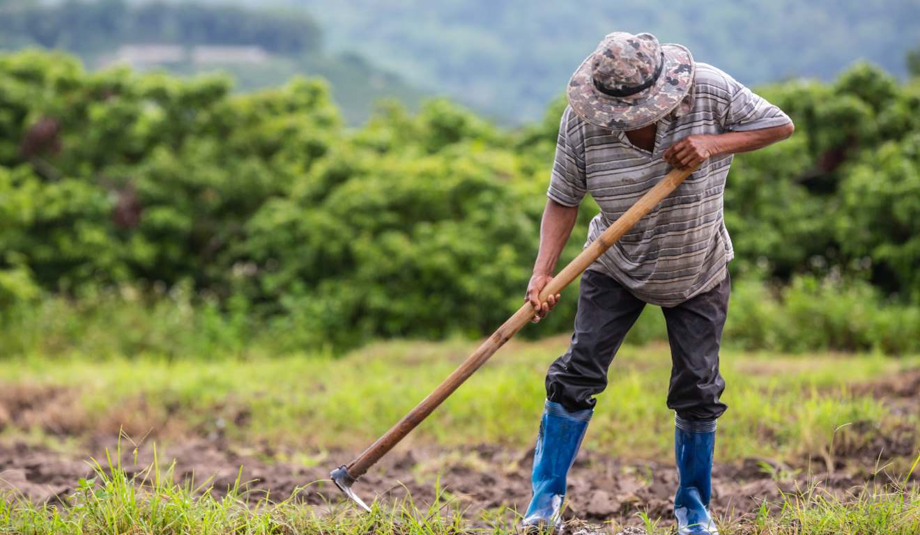 A Comissão de Agricultura, Pecuária, Abastecimento e Desenvolvimento Rural da Câmara dos Deputados aprovou, na sexta-feira (14), o Projeto de Lei 3913/25, que equipara agricultores familiares de subsistência aos agricultores extrativistas