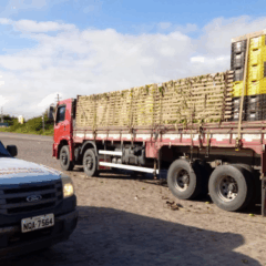 A Adeal de Alagoas passa a emitir, de forma eletrônica, a Permissão de Trânsito Vegetal (PTV), documento para o transporte de mudas e frutas