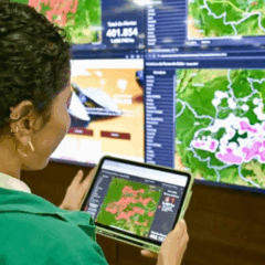 FOTO: Henrique Almeida/Ipaam