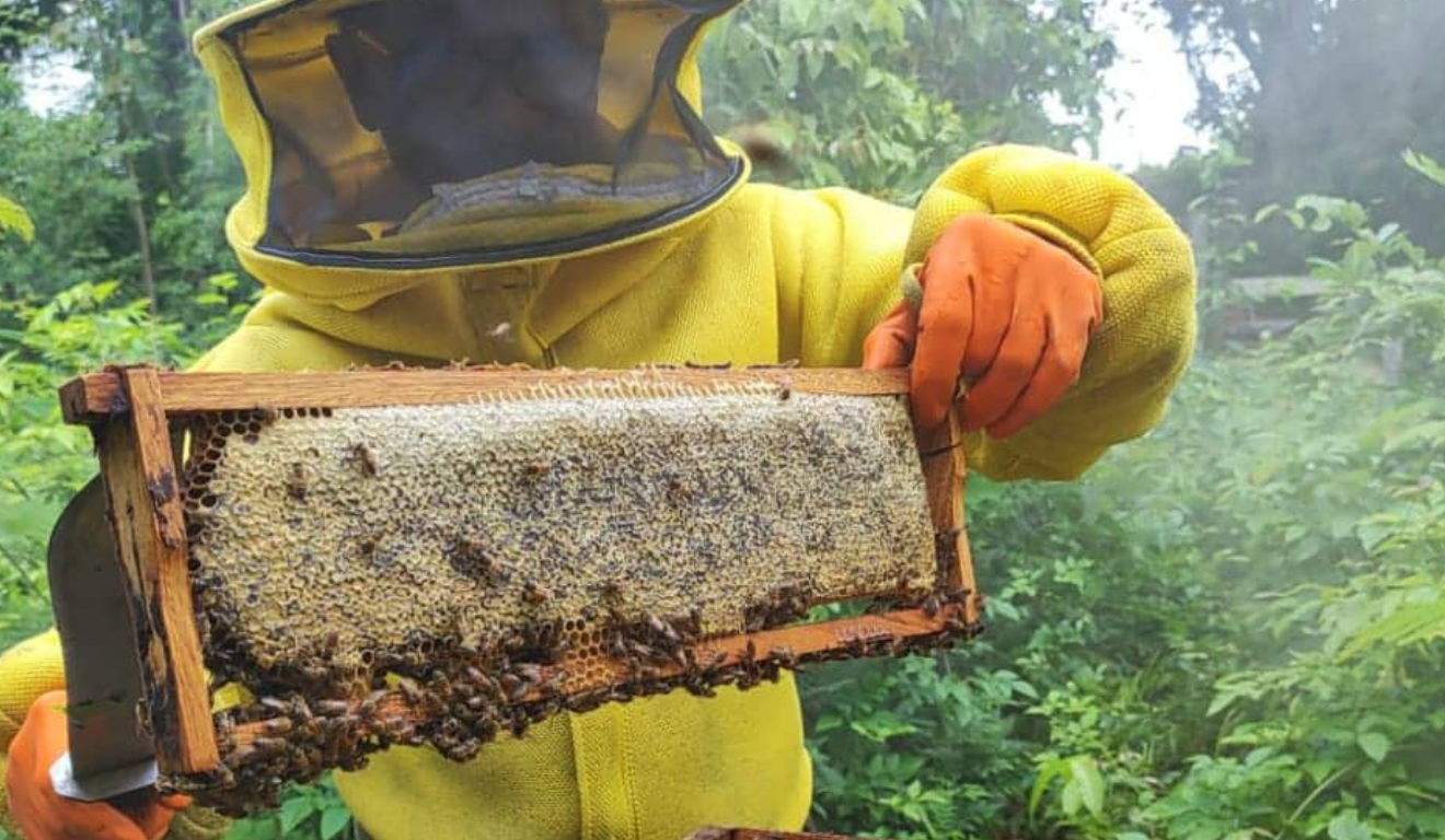 O Governo do Acre realizou, entre os dias 27 de outubro e 1º de novembro, uma série de visitas técnicas e de monitoramento de apiários e meliponários