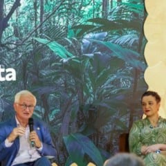 Foto: divulgação Tarciana Medeiros