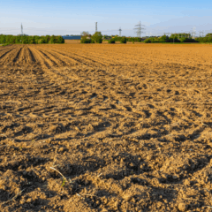 Conheça o passo a passo para fazer a calagem do solo de maneira correta e ter uma terra mais fértil para ampliar a produtividade da sua safra
