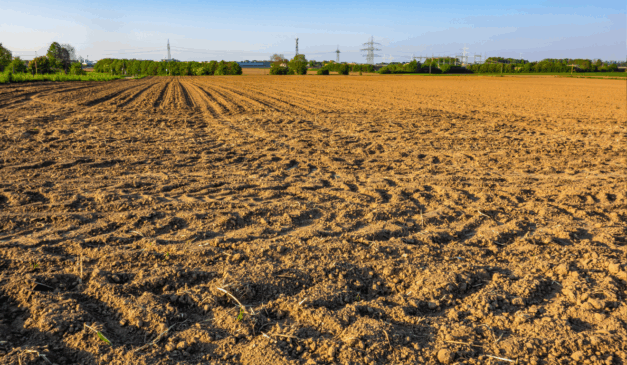 Conheça o passo a passo para fazer a calagem do solo de maneira correta e ter uma terra mais fértil para ampliar a produtividade da sua safra