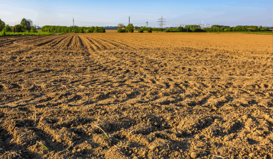 Conheça o passo a passo para fazer a calagem do solo de maneira correta e ter uma terra mais fértil para ampliar a produtividade da sua safra