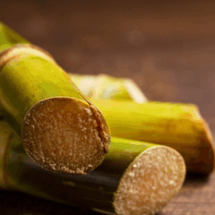 O governo federal divulgou na segunda-feira (10) a lista de produtos agrícolas que receberão o bônus do Programa de Garantia de Preços para a Agricultura Familiar (PGPAF) em novembro