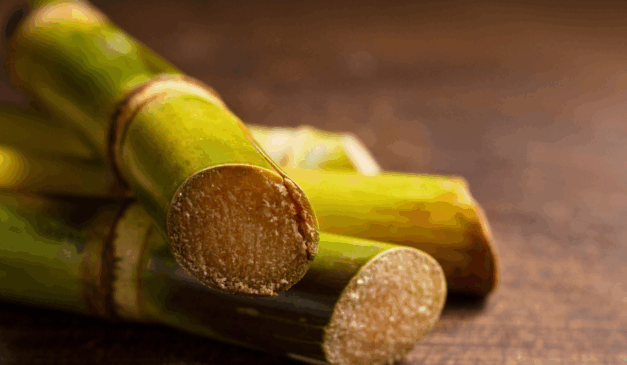 O governo federal divulgou na segunda-feira (10) a lista de produtos agrícolas que receberão o bônus do Programa de Garantia de Preços para a Agricultura Familiar (PGPAF) em novembro