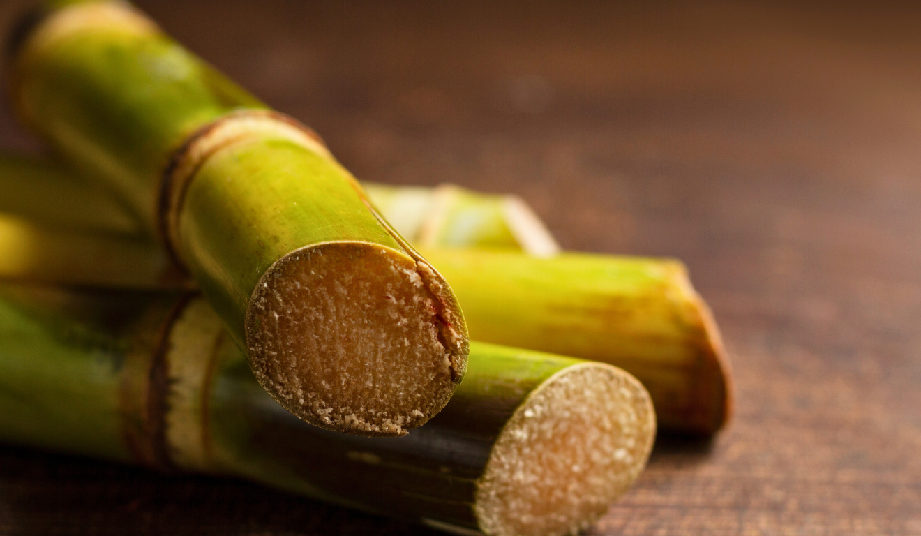 O governo federal divulgou na segunda-feira (10) a lista de produtos agrícolas que receberão o bônus do Programa de Garantia de Preços para a Agricultura Familiar (PGPAF) em novembro