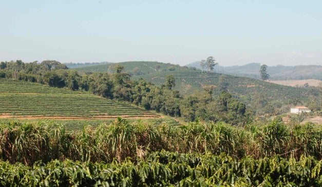 O Projeto de Lei 2.898/2021 cria uma codificação geográfica para o campo e a agroindústria, ampliando precisão logística, segurança jurídica e integração territorial. Funcionando como uma espécie de CEP Rural.