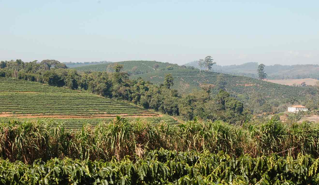 O Projeto de Lei 2.898/2021 cria uma codificação geográfica para o campo e a agroindústria, ampliando precisão logística, segurança jurídica e integração territorial. Funcionando como uma espécie de CEP Rural.