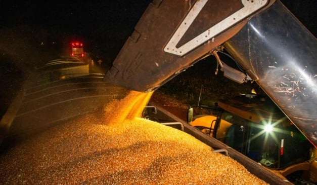 Conab lança estimativas para a safra de milho e de soja 2025/26