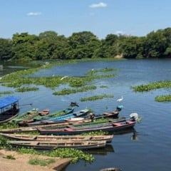 Os fiscais da Secretaria do Meio Ambiente e Recursos Hídricos (Semarh) do governo do Piauí promoveram, na sexta-feira (14), uma campanha educativa para marcar o início do defeso da piracema, que começa em 15 de novembro e segue até 16 de março de 2026.