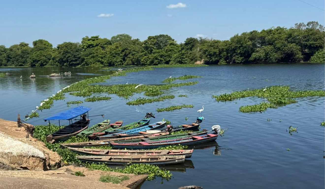 Os fiscais da Secretaria do Meio Ambiente e Recursos Hídricos (Semarh) do governo do Piauí promoveram, na sexta-feira (14), uma campanha educativa para marcar o início do defeso da piracema, que começa em 15 de novembro e segue até 16 de março de 2026. Os fiscais da Secretaria do Meio Ambiente e Recursos Hídricos (Semarh) do governo do Piauí promoveram, na sexta-feira (14), uma campanha educativa para marcar o início do defeso da piracema, que começa em 15 de novembro e segue até 16 de março de 2026.