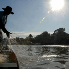 niciado o período de Defeso da Piracema em todo o Estado de São Paulo, a medida permanecerá em vigor até o dia 28 de fevereiro