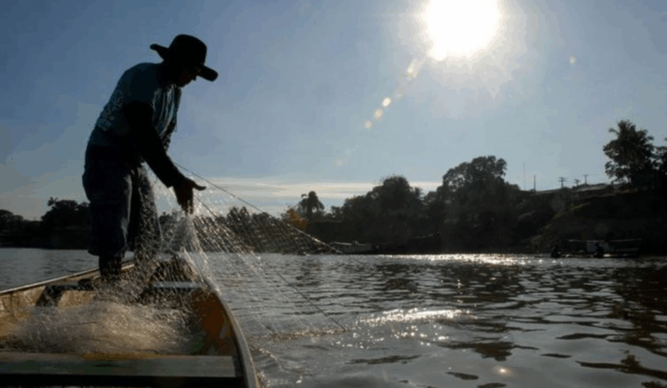niciado o período de Defeso da Piracema em todo o Estado de São Paulo, a medida permanecerá em vigor até o dia 28 de fevereiro